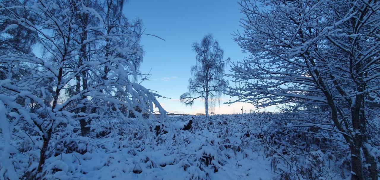 Torcroft Lodges Drumnadrochit Zewnętrze zdjęcie