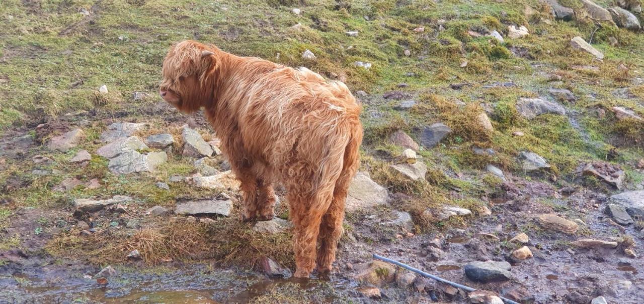 Torcroft Lodges Drumnadrochit Zewnętrze zdjęcie