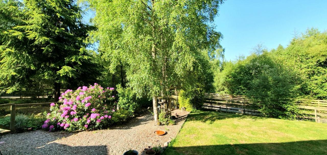Torcroft Lodges Drumnadrochit Zewnętrze zdjęcie