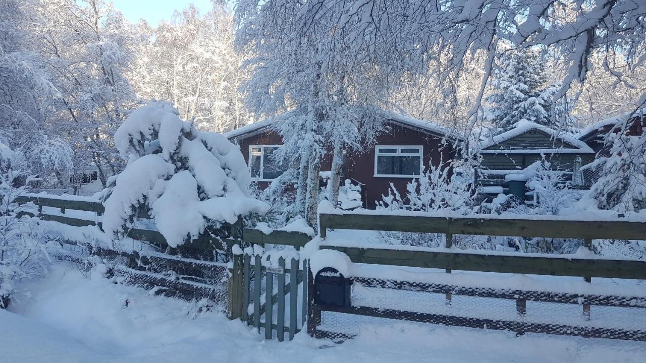 Torcroft Lodges Drumnadrochit Zewnętrze zdjęcie