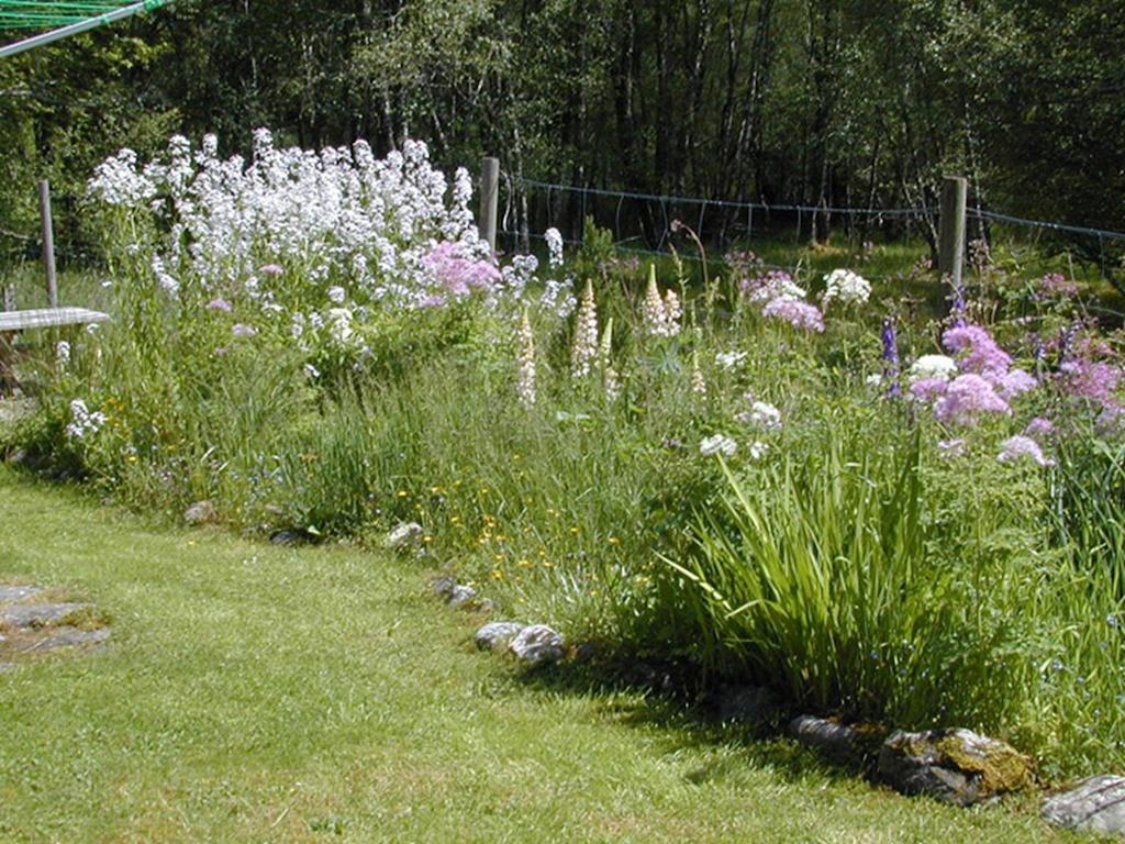 Torcroft Lodges Drumnadrochit Pokój zdjęcie