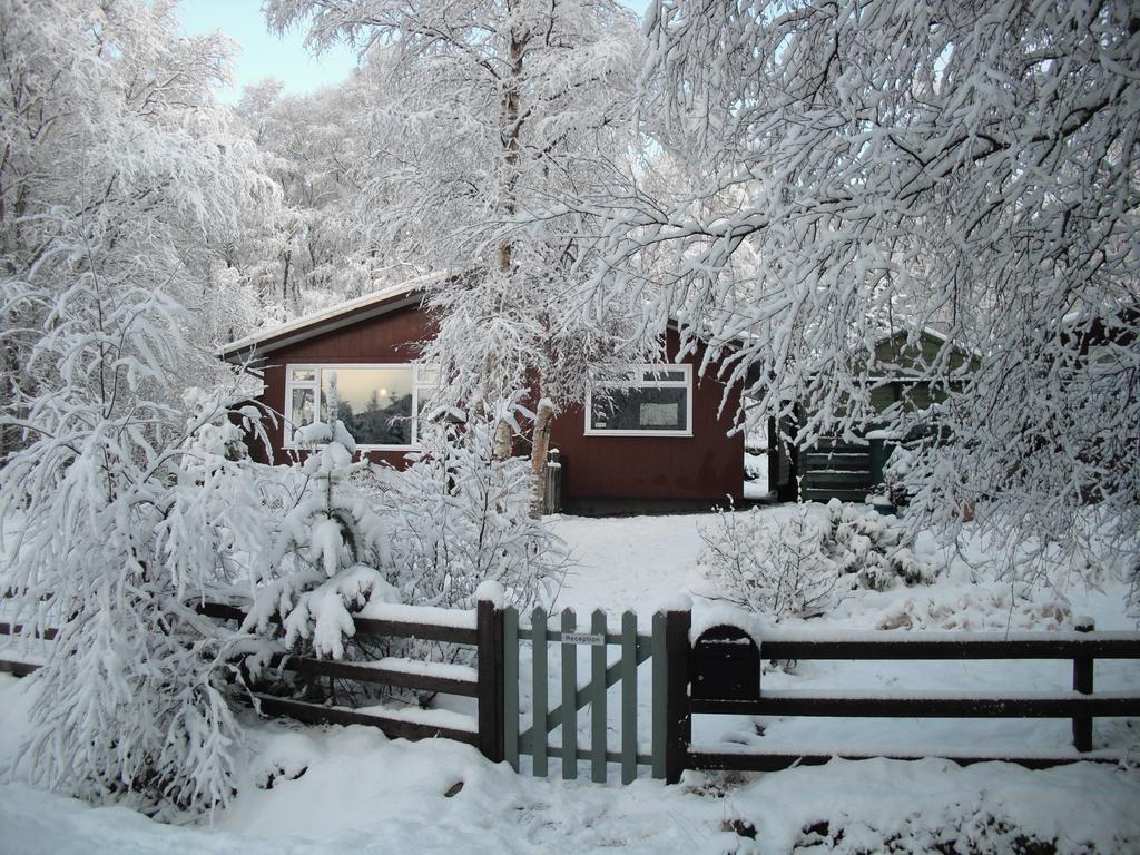 Torcroft Lodges Drumnadrochit Pokój zdjęcie